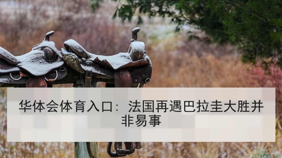华体会体育入口: 法国再遇巴拉圭大胜并非易事