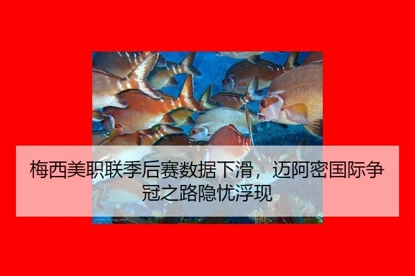 mei-xi-mei-zhi-lian-ji-hou-sai-shu-ju-xia-hua-mai-a-mi-guo-ji-zheng-guan-zhi-lu-yin-you-fu-xian-2-646.jpg