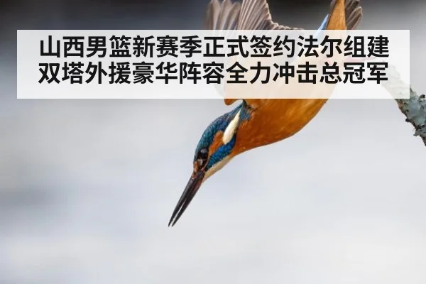 山西男篮新赛季正式签约法尔组建双塔外援豪华阵容全力冲击总冠军