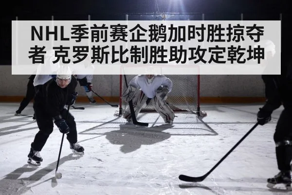 NHL季前赛企鹅加时胜掠夺者 克罗斯比制胜助攻定乾坤