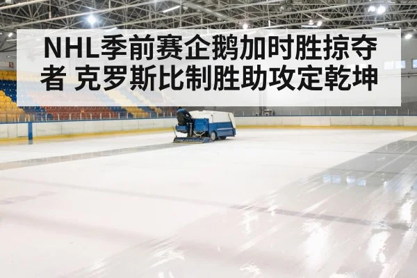 ice hockey rink arena
